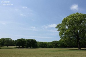 IMG_2004